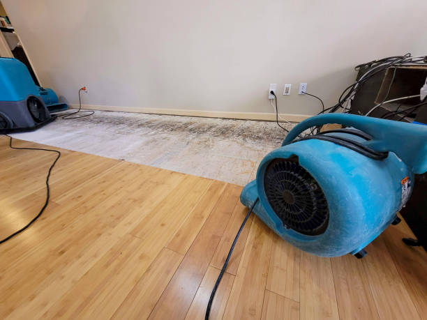 Professional Sewage Cleanup technician working in Seal Beach, CA